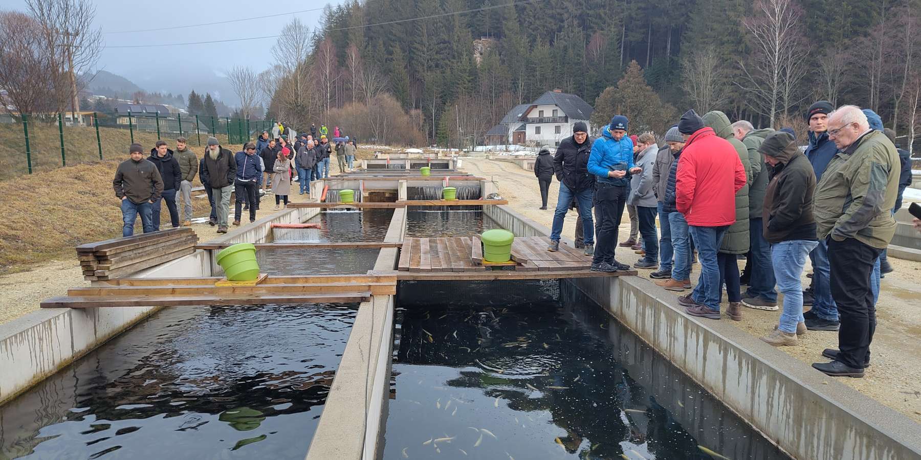 Tagung Forellenzucht 2026 Betriebsbesichtigung Fischzucht Kroisleitner c Melanie Haslauer LK NÖ.jpg © Melanie Haslauer/LK NÖ