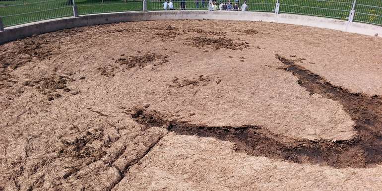 Güllegrube_Schwimmdecke.jpg © BWSB/Wallner