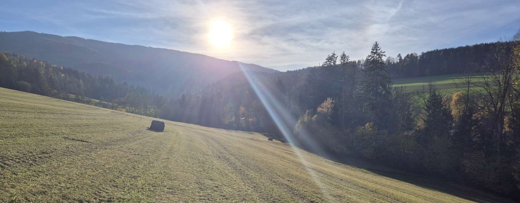 Grünland mit ungewickeltem Siloballen .jpg © Nothnagel/LKÖ