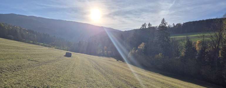 Grünland mit ungewickeltem Siloballen .jpg © Nothnagel/LKÖ