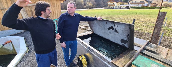 Beratung Aquakultur © Martin Mayringer, LK OÖ