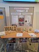 © Elisabeth Sterkl/LK Niederösterreich © Elisabeth Sterkl/LK Niederösterreich