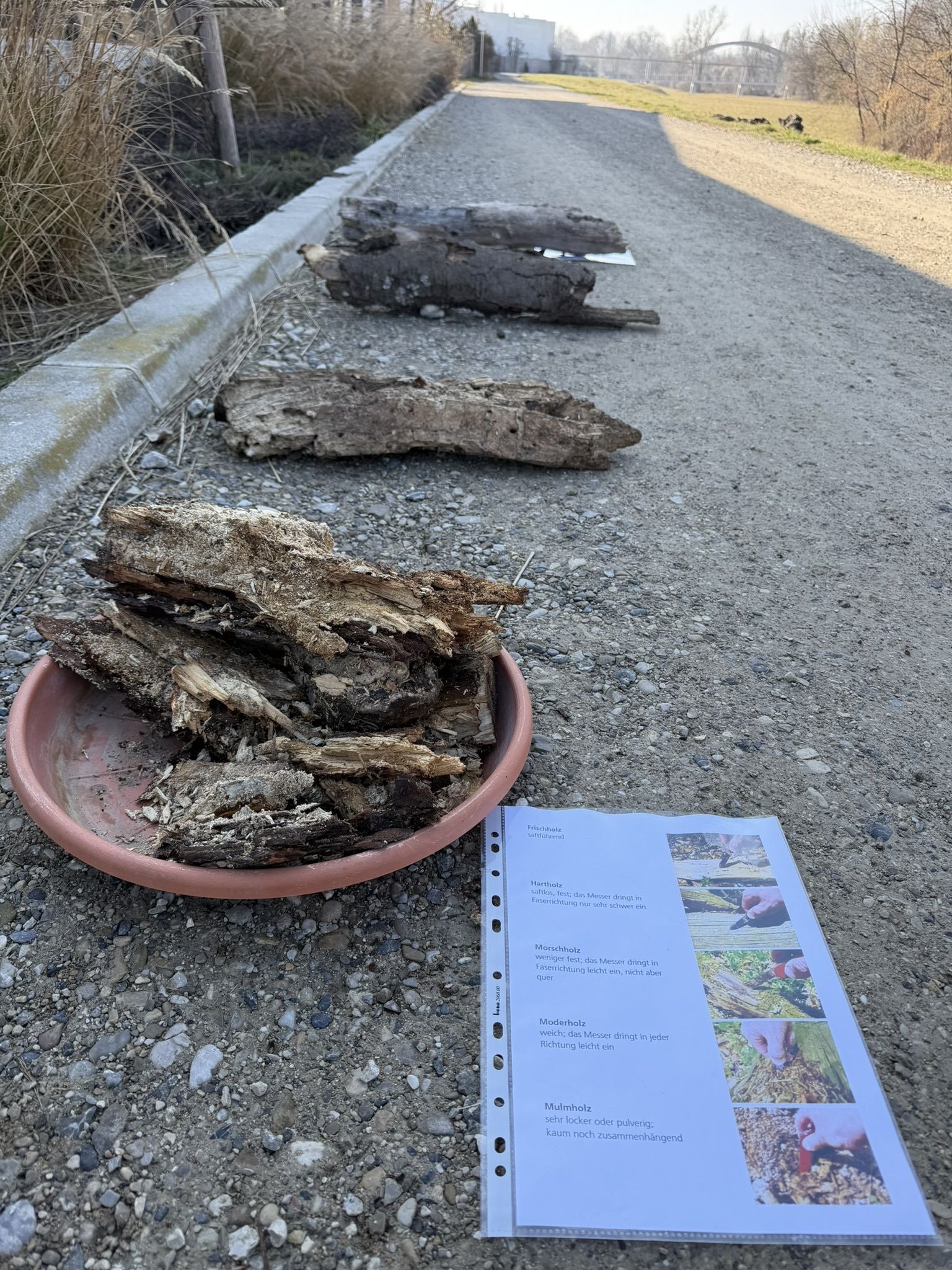 © Jeanine Jägersberger/LK Niederösterreich