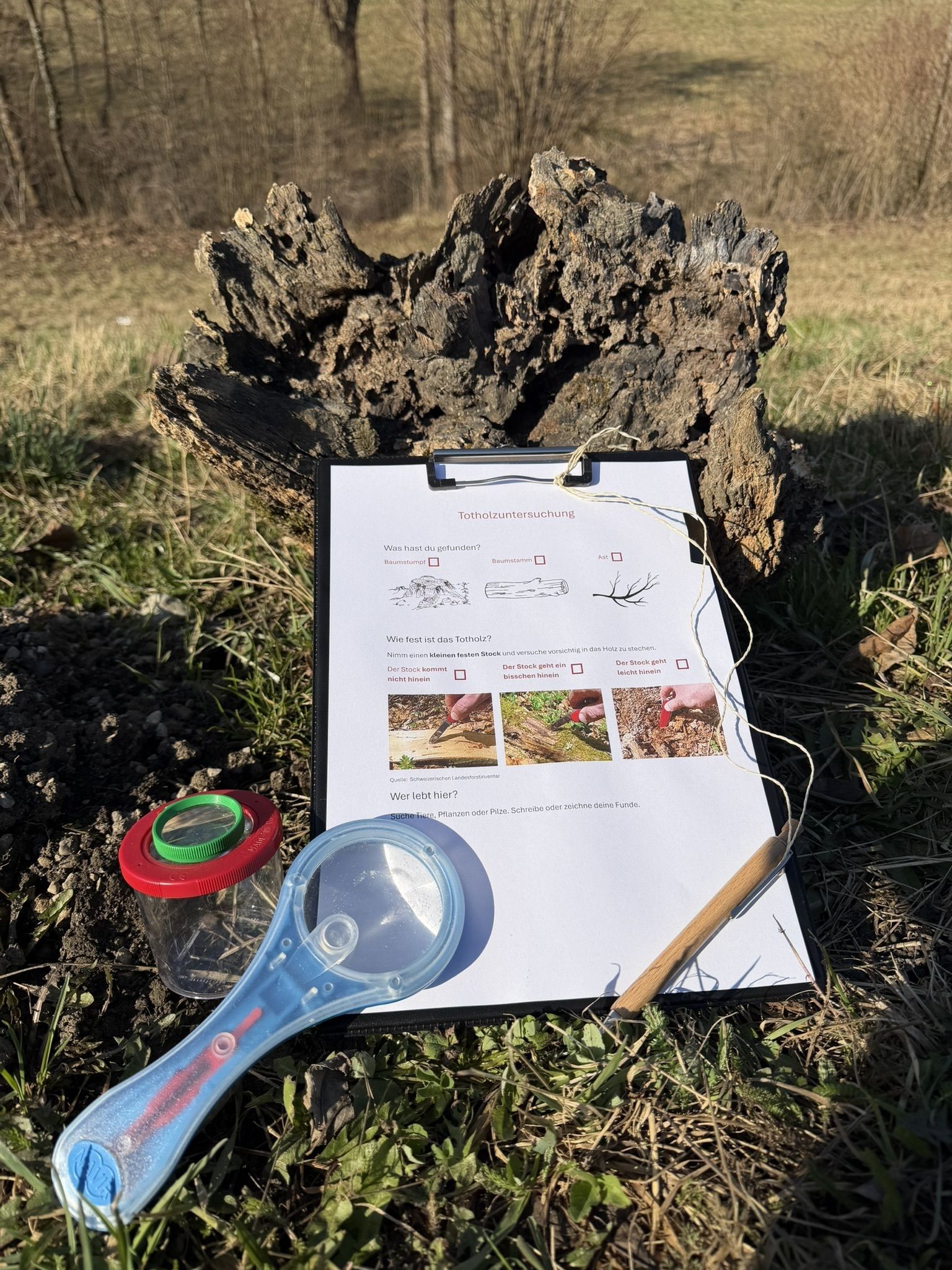 © Jeanine Jägersberger/LK Niederösterreich