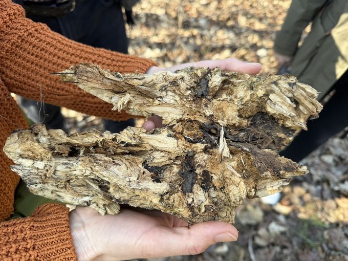 © Jeanine Jägersberger/LK Niederösterreich