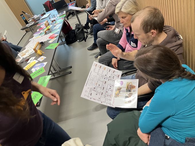 © Uli Mittermüller