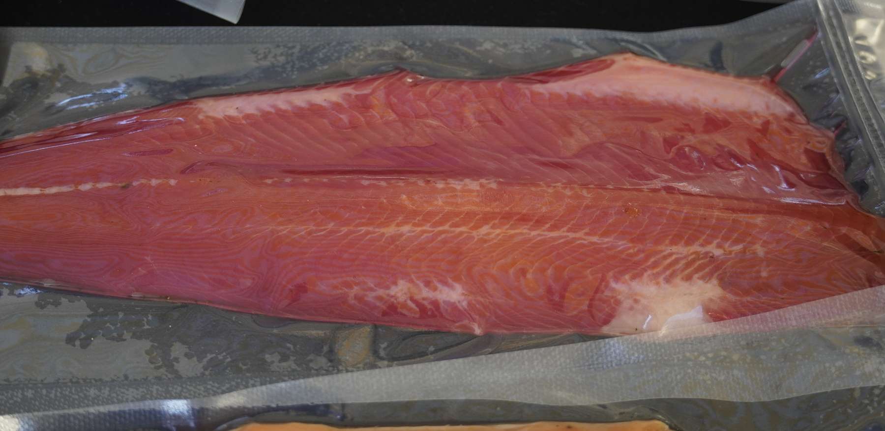 sb11_mt_filetrot.jpg © Dürnberger