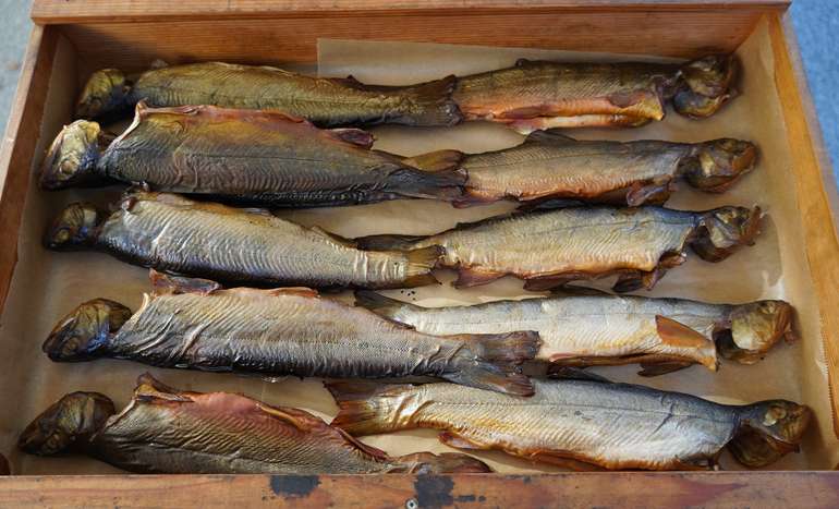 sb11_mt_forelle?.jpg © Dürnberger