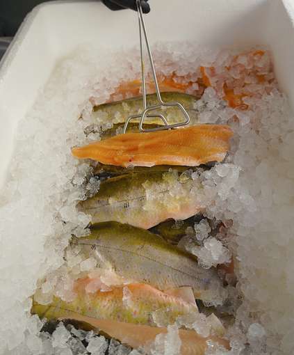 sb11_mt_frisch.jpg © Dürnberger