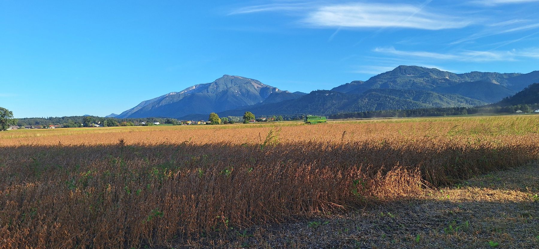 20250920.jpg © Roscher