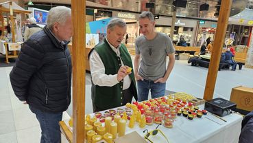 Austausch von erfahrenen Kärntner Imkern (Albin Otti und Gottfried Pebal re.).jpg © LVBK/ Peball