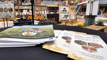 Frühlingserwachen.jpg © LVBK/ Peball