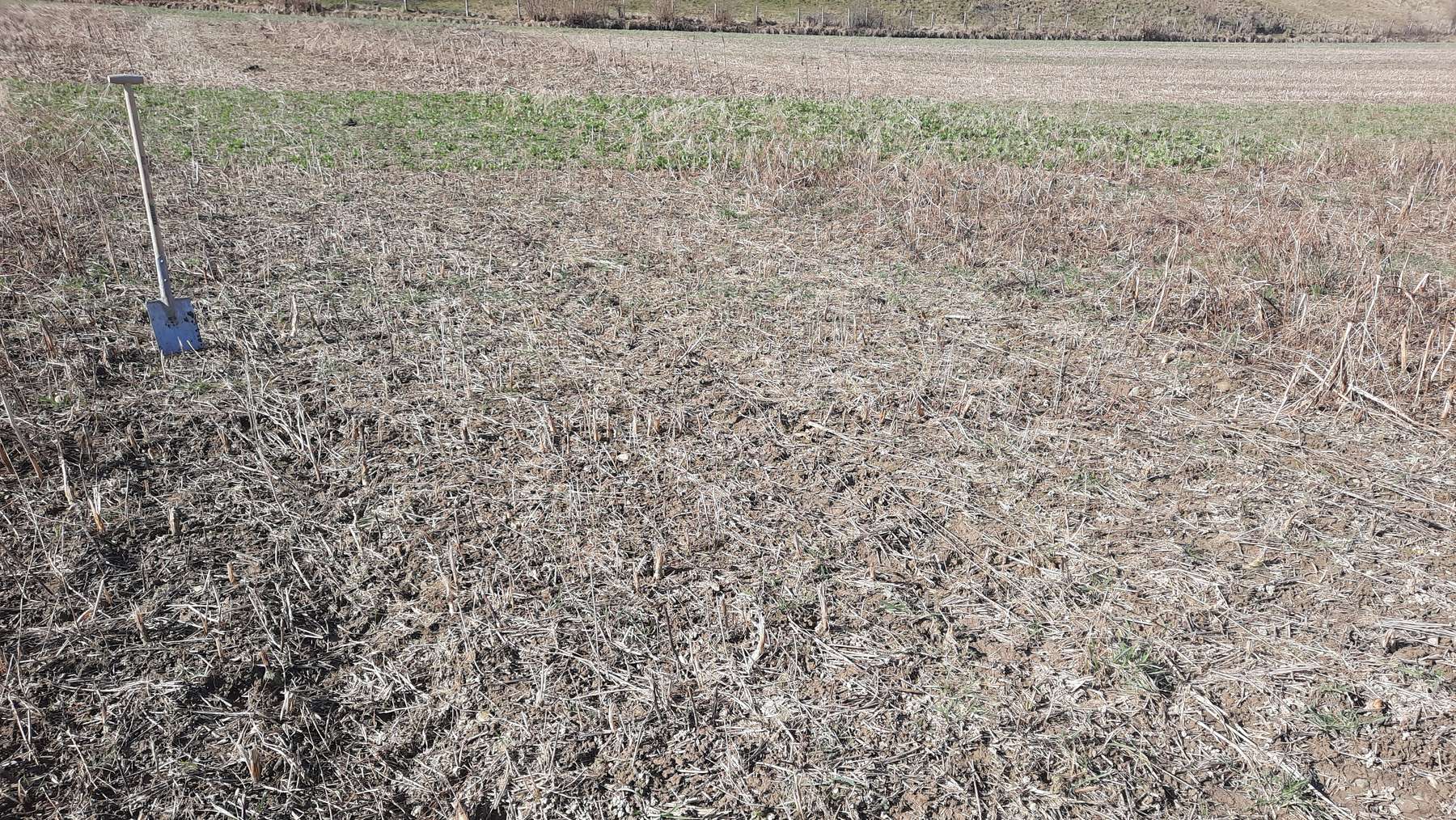 Besichtigung ZWF-Großversuch bei der FS Burgkirchen am 6. März 2026