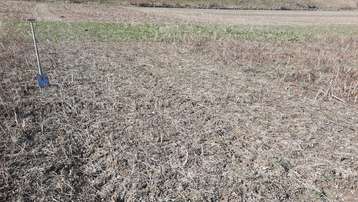 Besichtigung ZWF-Großversuch bei der FS Burgkirchen am 6. März 2026