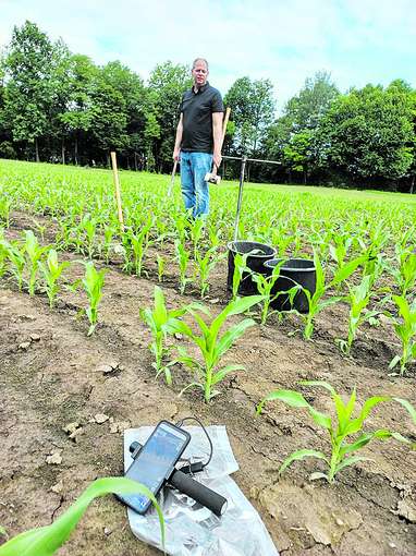 Grundwasser © LK-Umweltberatung