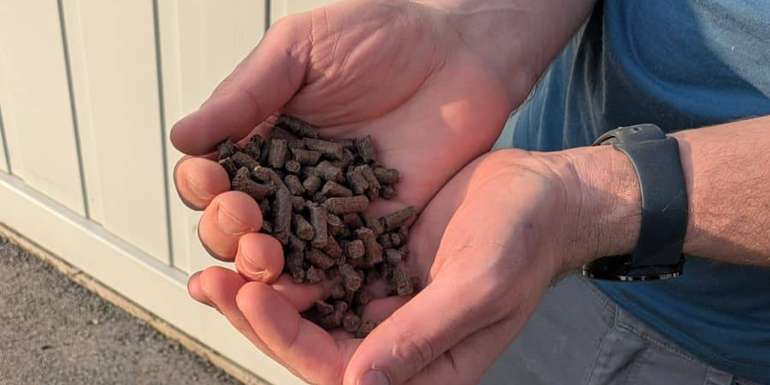 Die fertigen Düngerpellets sind auch im Bio-Bereich zugelassen.jpg © BWSB/Lang