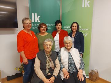 [1773238502187952.jpg]