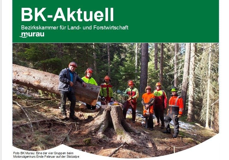 Screenshot 2026-03-12 092605.jpg © Archiv