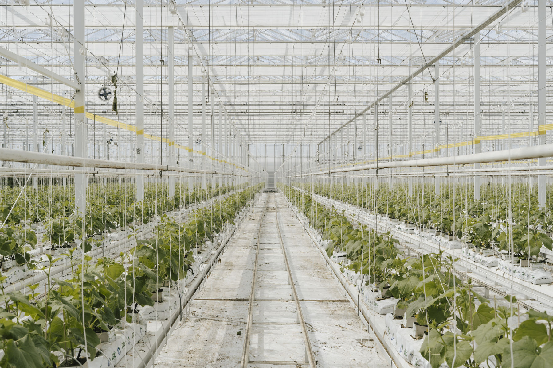 Glashaus Wien .jpg © LK Wien / Scheiblauer