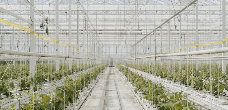 Glashaus Wien © LK Wien / Scheiblauer