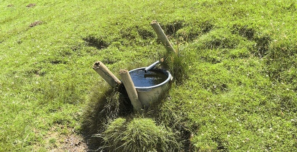 4 Fließgewässer.jpg © LK OÖ