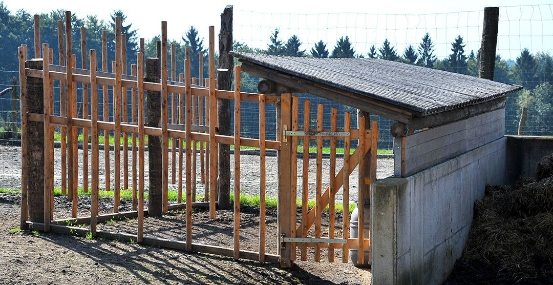 4 Kälberschlupf.jpg © LK OÖ