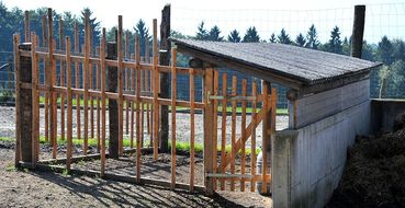 4 Kälberschlupf.jpg © LK OÖ