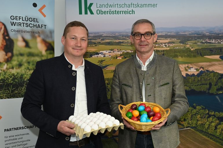 PK Eiermarkt_LK OÖ Frei (13).jpg © Landwirtschaftskammer OÖ