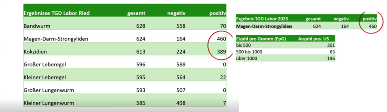 Bild2.png © TGD Labor Ried