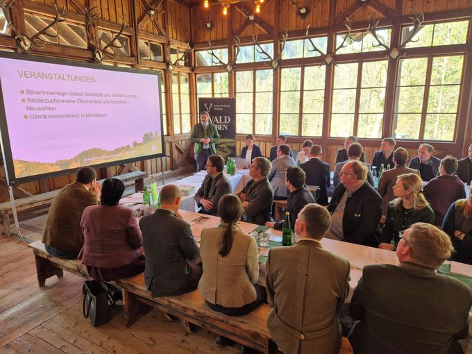 VVS 9.jpg © BBK Scheibbs