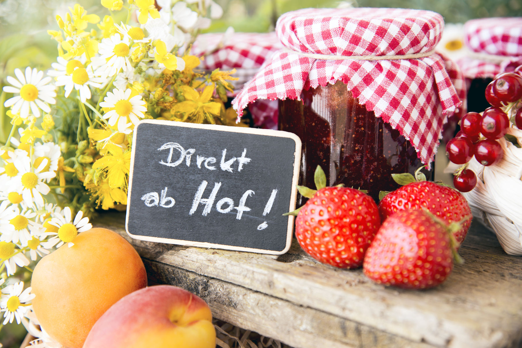 AdobeStock_66917513©Sonja Birkelbach.jpg © Sonja Birkelbach/stock.adobe.com