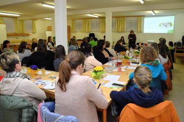 [1773662891538175.jpg]