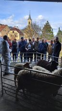 © LK Kärnten © LK Kärnten