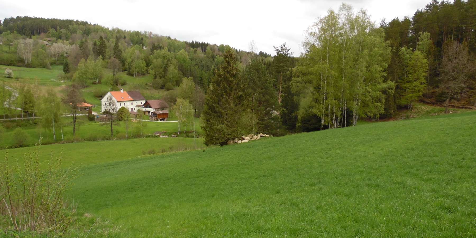 Grünland_Stichtags_7Jahresregelung.jpg © Martina Löffler/LK Niederösterreich