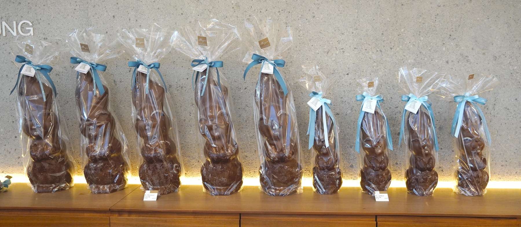 sb12_mt_hasenbig.jpg © Dürnberger