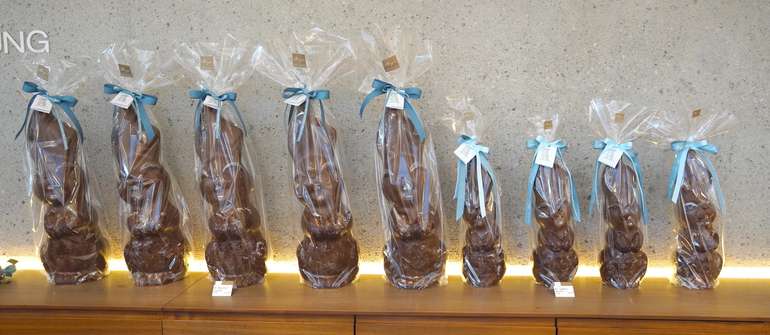 sb12_mt_hasenbig.jpg © Dürnberger