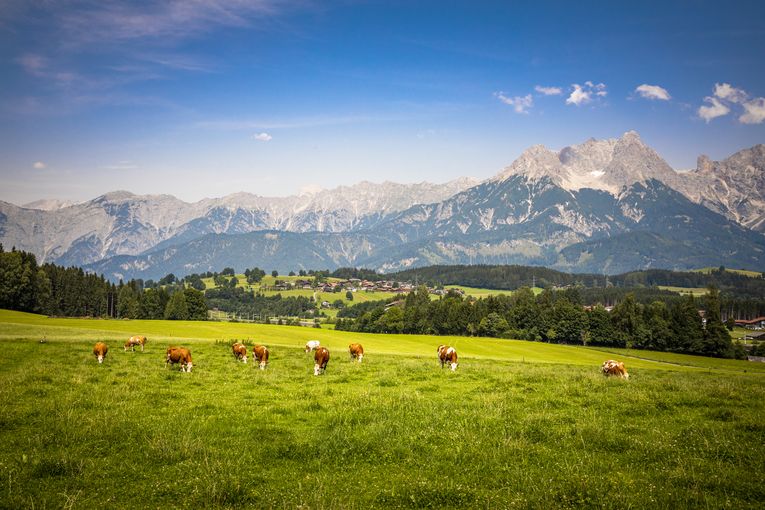 bergblick-hansenbauer-saalfelden-sbg-urlaubambauernhof.jpg © Urlaub am Bauernhof