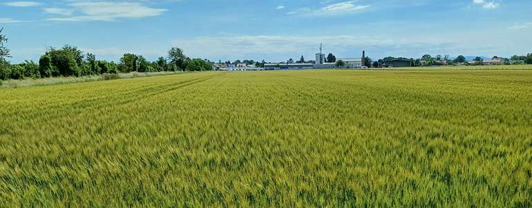 Dokumentationspflichten im ÖPUL.jpg © Thomas Weber