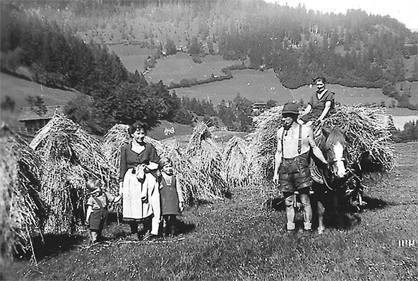 Ernteeinbringung Pferde.jpg © Archiv