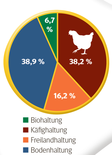 Haltungsform in der EU.png © AMA