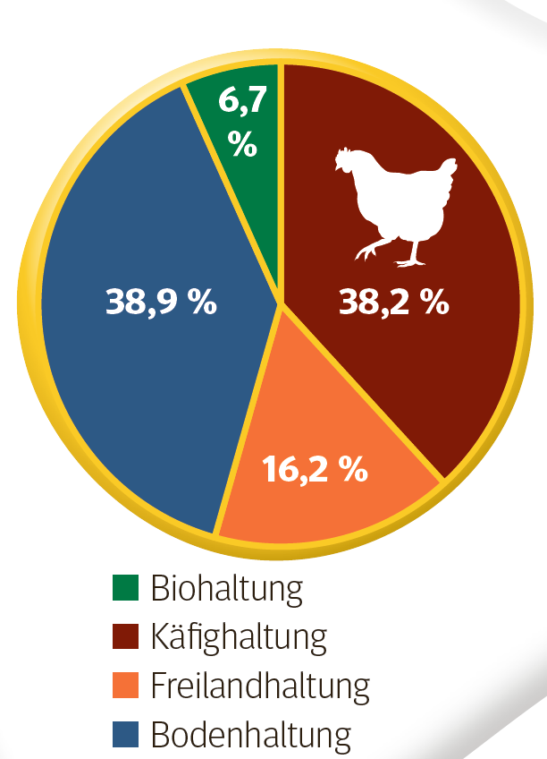 Haltungsform in der EU.png © AMA