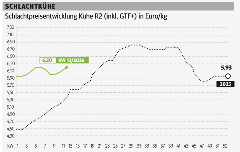 Schlachtkuhgrafik KW 12.png © Grafik RZV