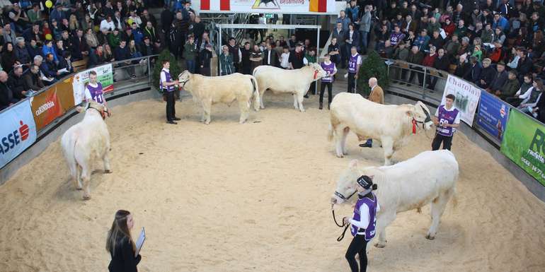 Fleischrindermesse1.jpg © caRINDthia