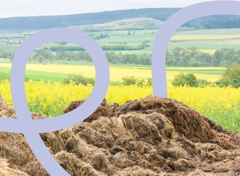 Webinar Mehrwert Festmist.jpg