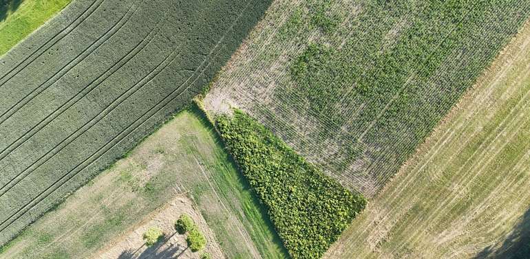 Ackerschläge per Drohne.jpg © LK OÖ/Mandl