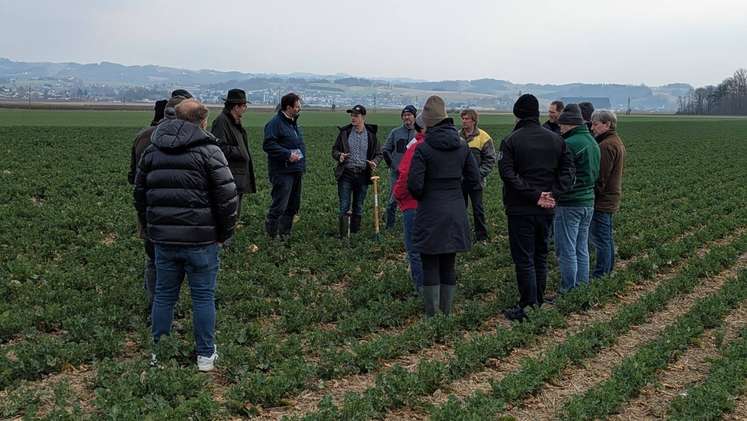 Feldbegehungen im Bezirk Perg, 18. März 2026