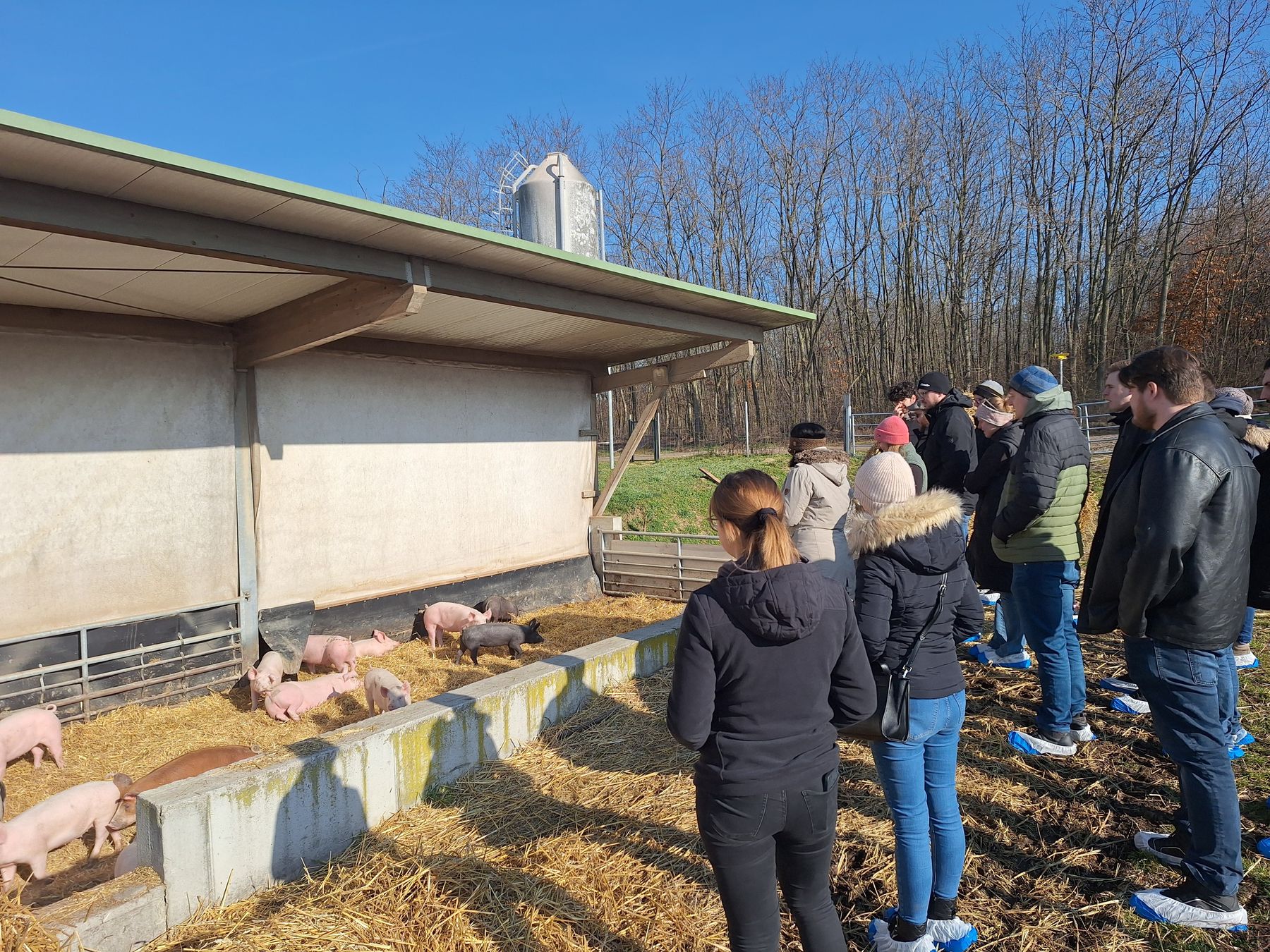 Leeb - Bio Woche Facharbeiter_3.jpg © DI Andrea Leeb