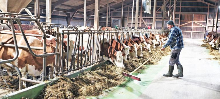 Mit Aussiedlerhof Kapazität verdoppelt.jpg © Prof. Mag. Josef A. Standl