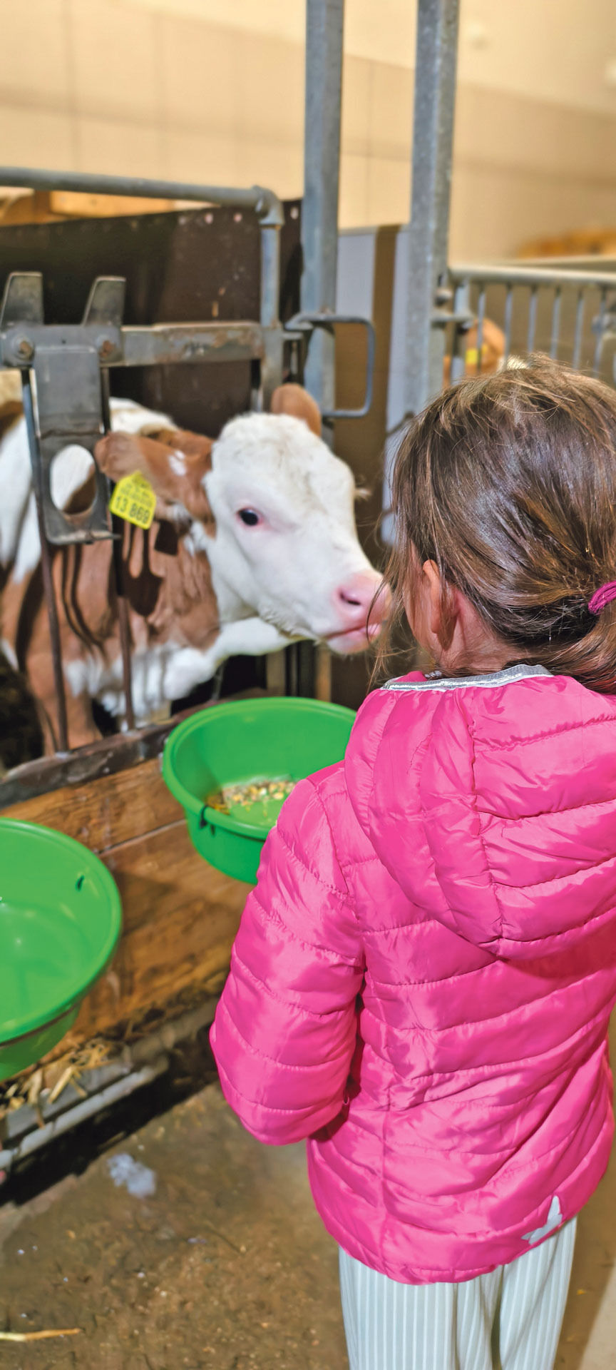 Mit Aussiedlerhof Kapazität verdoppelt.jpg © Prof. Mag. Josef A. Standl