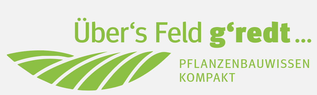 Über s Feld g redt.jpg © Archiv